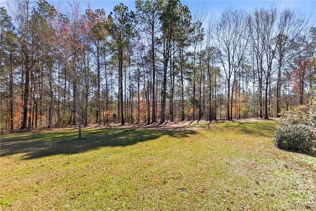 17174 Finnell Rd, Northport, AL 35475 - view of yard