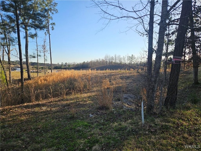 Listing photo 2 for 0 Tuliptree Ln, Northport AL 35473