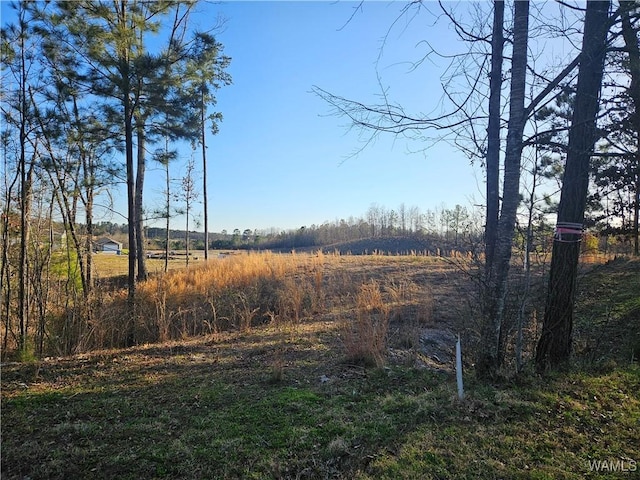 0 Tuliptree Ln, Northport AL, 35473 land for sale