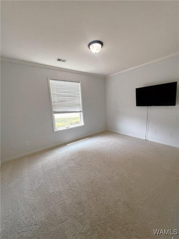 11507 Belle Meade Ave, Northport, AL 35475 - spare room featuring crown molding, carpet floors, and baseboards