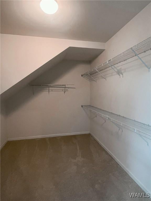 11507 Belle Meade Ave, Northport, AL 35475 - spacious closet with carpet floors