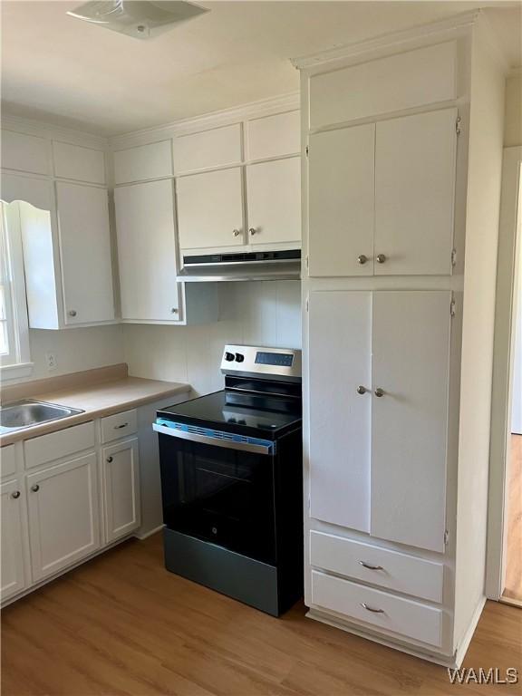 laundry room featuring crown molding and light wood-type flooring