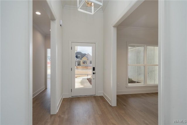 entryway with hardwood / wood-style floors and crown molding