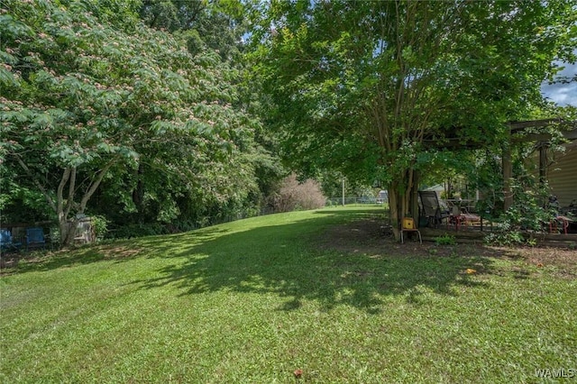 12569 Covered Bridge Rd, Brookwood, AL 35444 - view of grassy yard