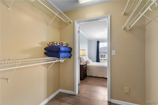walk in closet with wood finished floors