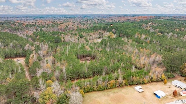 LOT1 John Swindle Rd, Northport, AL 35475 - photo 14