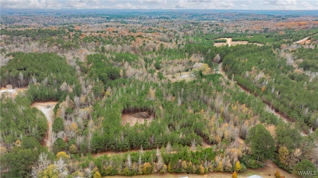 LOT1 John Swindle Rd, Northport, AL 35475 - photo 5