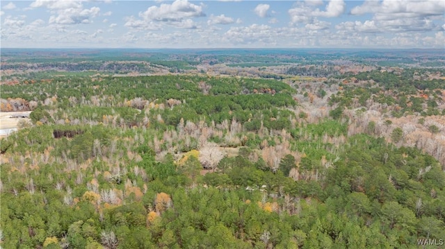 LOT1 John Swindle Rd, Northport, AL 35475 - photo 9