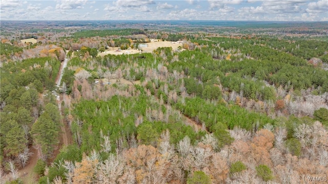 LOT1 John Swindle Rd, Northport, AL 35475 - photo 12
