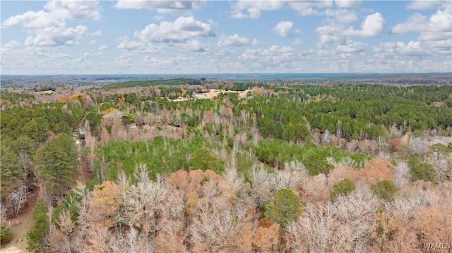 LOT1 John Swindle Rd, Northport, AL 35475 - photo 13