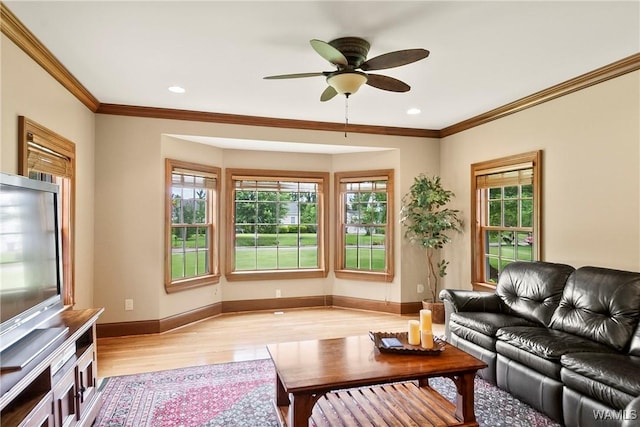 17 Hillcrest, Tuscaloosa, AL 35401 - photo 46