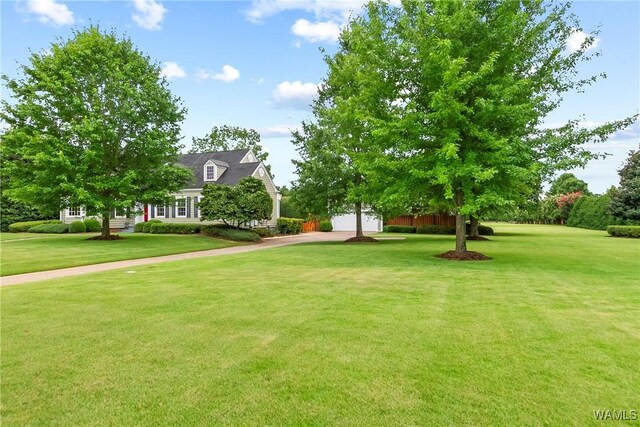 17 Hillcrest, Tuscaloosa, AL 35401 - photo 3