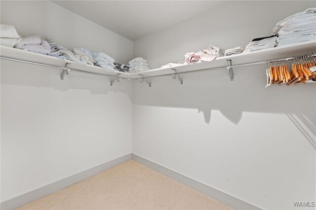1150 8th St Unit 617, Tuscaloosa, AL 35401 - photo 23