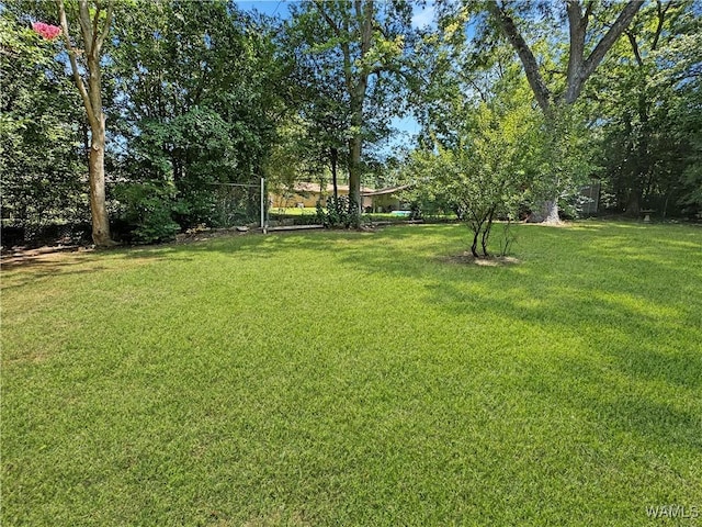 2126 Bellwood Dr, Northport, AL 35476 - photo 22