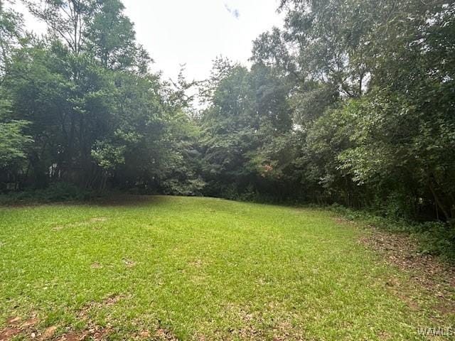25 Skyline Dr, Tuscaloosa, AL 35405 - photo 22