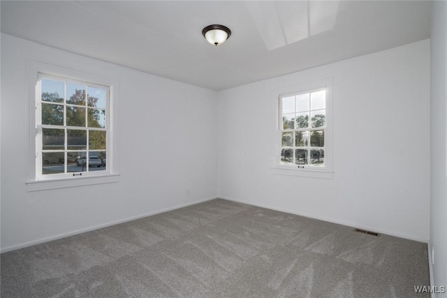 carpeted empty room featuring a healthy amount of sunlight