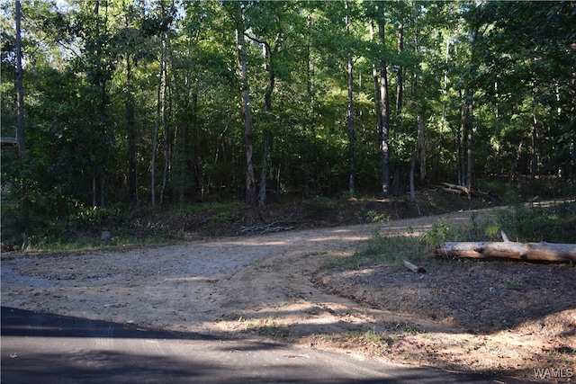 000 Cary Dr, Mccalla AL, 35111 land for sale