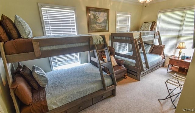 16584 Kathryn Lane Dr, Northport, AL 35475 - bedroom featuring carpet and ornamental molding