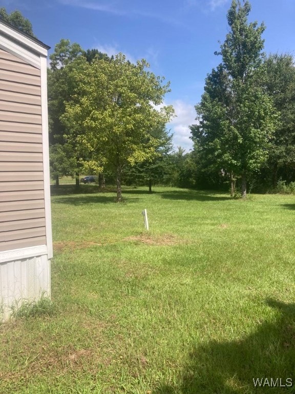 2450 Milwood Rd, Greensboro, AL 36744 - photo 3