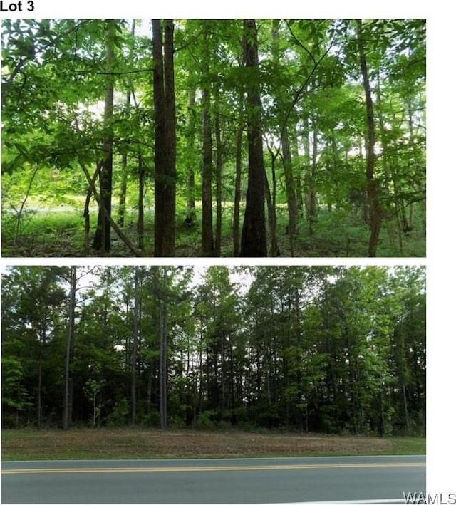 6030 Garner Rd, Tuscaloosa, AL 35405