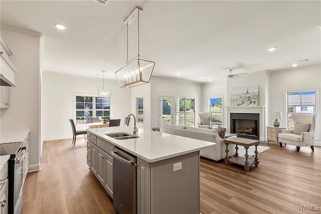 kitchen with gray cabinetry, stainless steel appliances, sink, light hardwood / wood-style floors, and an island with sink