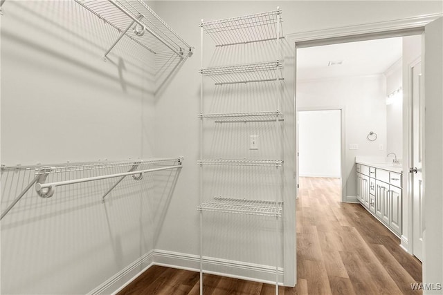 walk in closet with hardwood / wood-style floors and sink