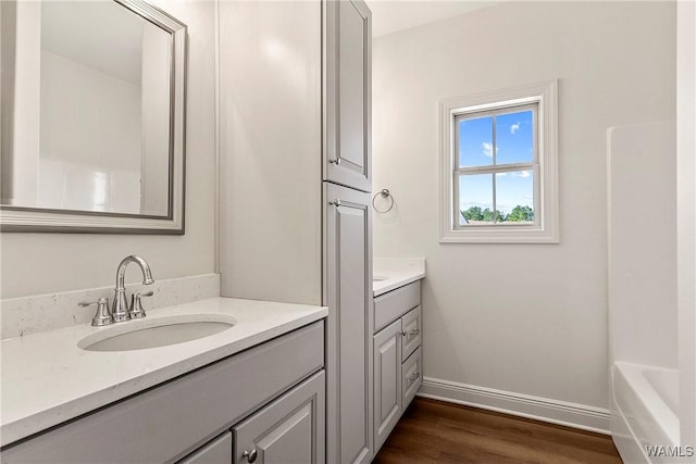 bathroom with wood-type flooring and vanity