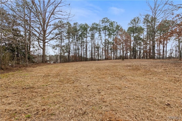 0 Georgia Loop, Woodstock AL, 35188 land for sale