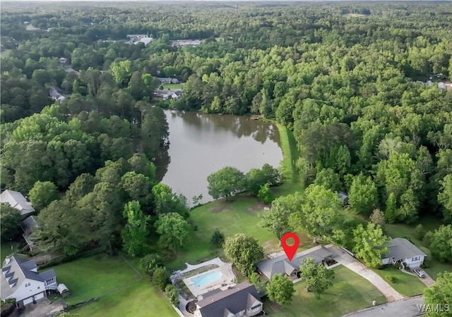 drone / aerial view of a forest and a nearby body of water