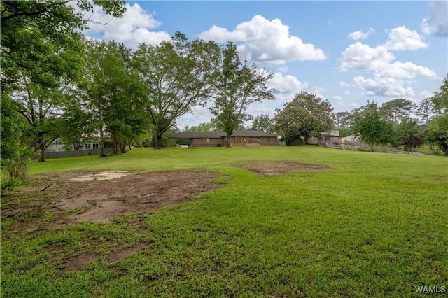 view of green lawn
