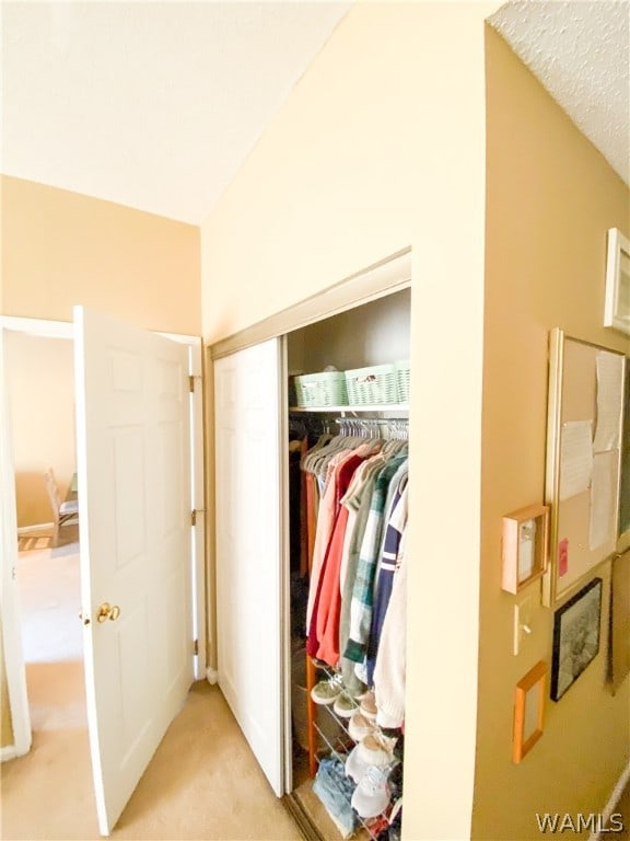 view of closet