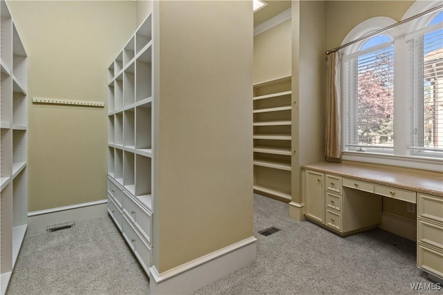 walk in closet with built in desk and light colored carpet