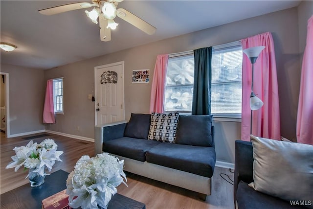 living room featuring ceiling fan and wood-type flooring