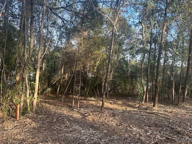 LOT64 Blue Pine Cir, Brookwood AL, 35444 land for sale