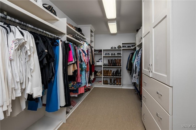 194 The Highlands, Tuscaloosa, AL 35404 - photo 27