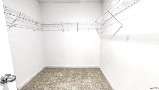 spacious closet with carpet floors