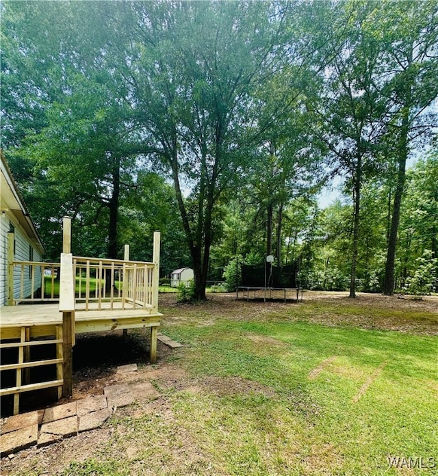 11624 Summer Chase Rd, Mccalla, AL 35111 - view of green lawn with a trampoline and a wooden deck