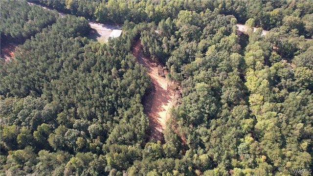 0 Keenes Mill Rd, Cottondale, AL 35453 - photo 3