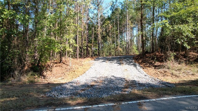 0 Keenes Mill Rd, Cottondale, AL 35453 - photo 1