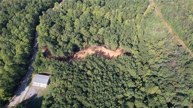 0 Keenes Mill Rd, Cottondale, AL 35453 - photo 5
