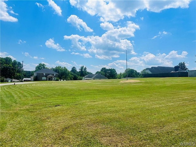 0 Tucker Dr, Livingston, AL 35470 - photo 5