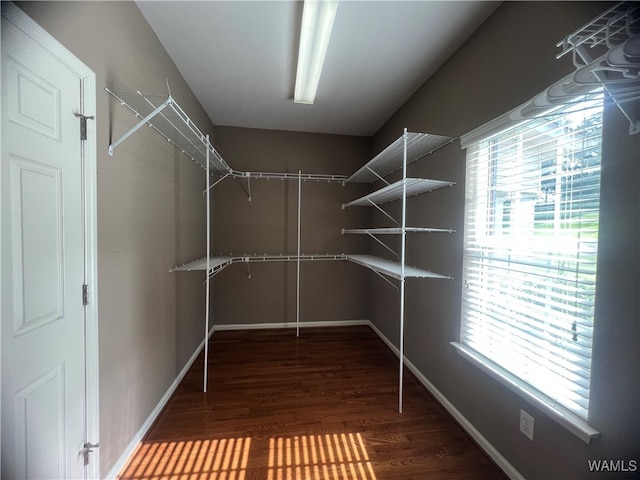 spacious closet with dark hardwood / wood-style floors