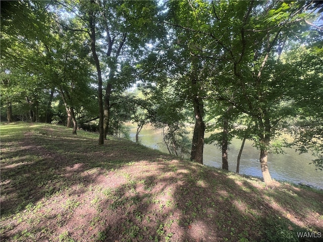 view of yard featuring a water view