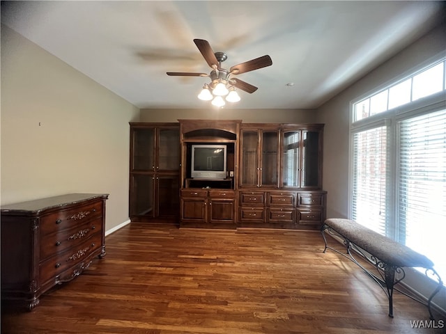 interior space featuring dark hardwood / wood-style floors, a healthy amount of sunlight, and ceiling fan