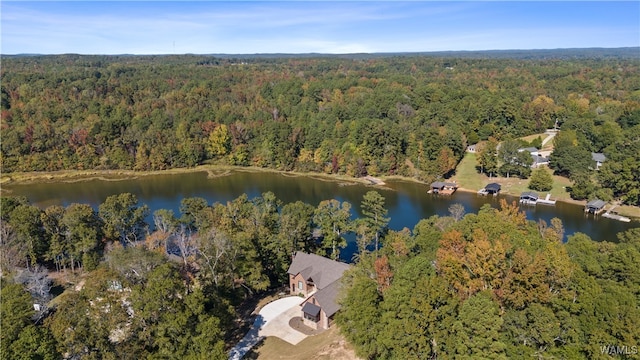 12437 Rising Tide, Northport, AL 35475 - bird's eye view with a water view