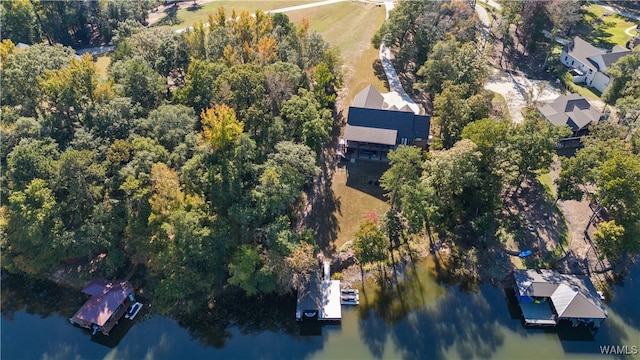 12437 Rising Tide, Northport, AL 35475 - aerial view with a water view