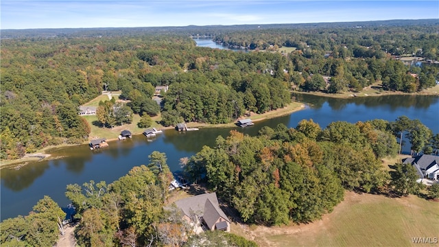 12437 Rising Tide, Northport, AL 35475 - bird's eye view featuring a water view