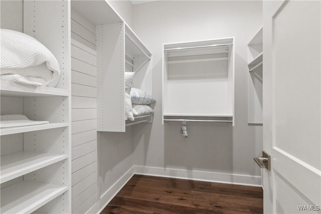 12437 Rising Tide, Northport, AL 35475 - walk in closet featuring dark wood-type flooring