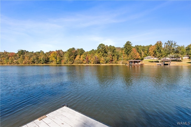 12437 Rising Tide, Northport, AL 35475 - dock area with a water view