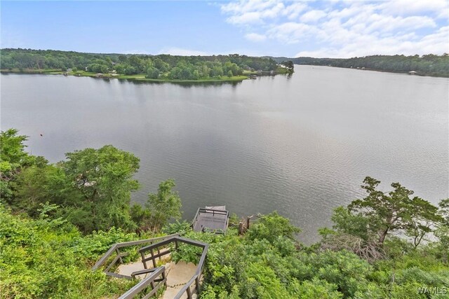 13077 Country Club Dr, Northport, AL 35475 - photo 44